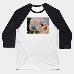 Monarch of the Glen Baseball T-Shirt